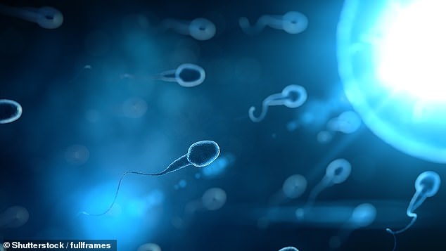 Higher Sperm Quality in Men Linked to Three-Year Longer Lifespan, Study Reveals