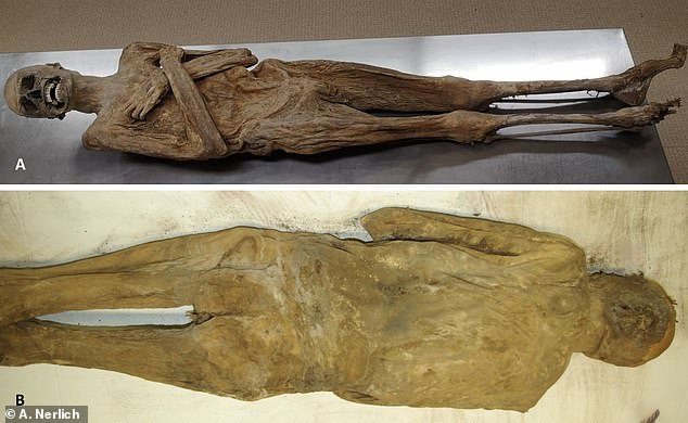 Unraveling the 1746 ‘Air-Dried Chaplain’ Mystery: Rectal Embalming Key to Preservation
This title captures the intrigue, historical context, unique preservation method, and solution concisely within 12 words.