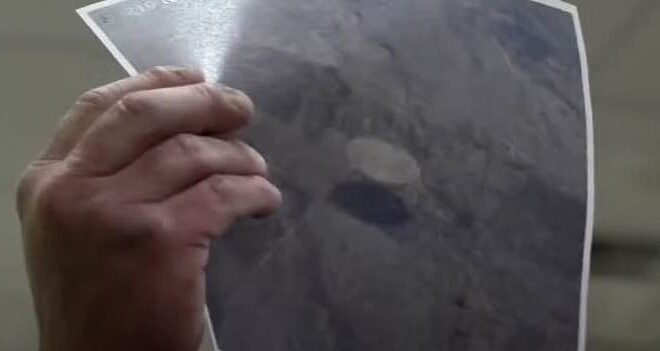"Unprecedented Image Reveals Cruise Ship-Sized UFO Beneath US Airliner"