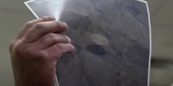 "Unprecedented Image Reveals Cruise Ship-Sized UFO Beneath US Airliner"