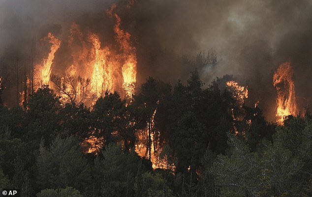 Gen Alpha’s Lifetime Climate Risks: Scientists Predict Escalating Heatwaves, Floods, Wildfires