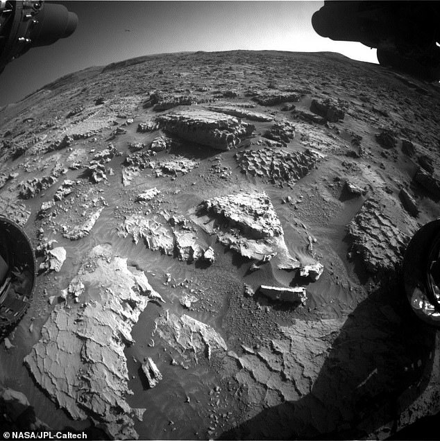 Scientists Perplexed by Unusual Honeycomb and Waffle-Like Formations Uncovered on Martian Surface