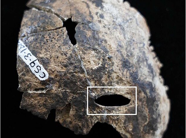 "Archaeologists Uncover Ancient Mayan Ritual Artifacts in ‘Blood Cave’"