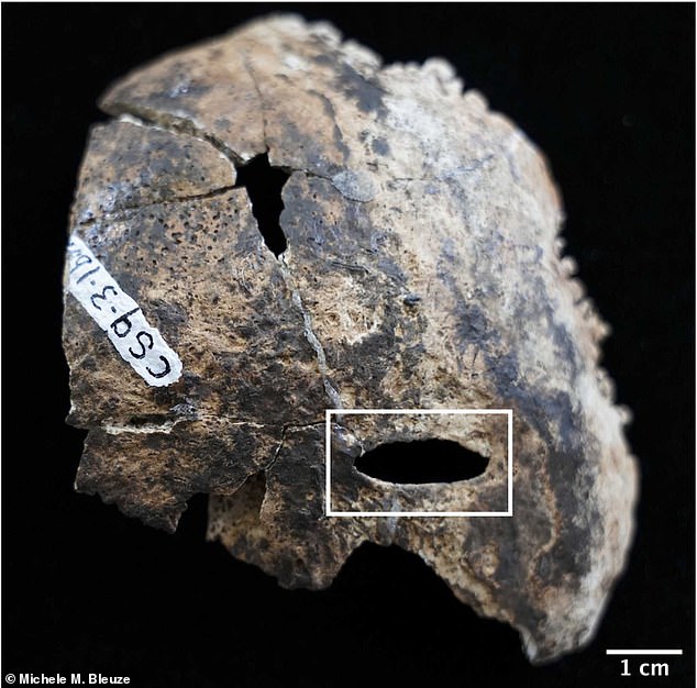 "Archaeologists Uncover Ancient Mayan Ritual Artifacts in ‘Blood Cave’"