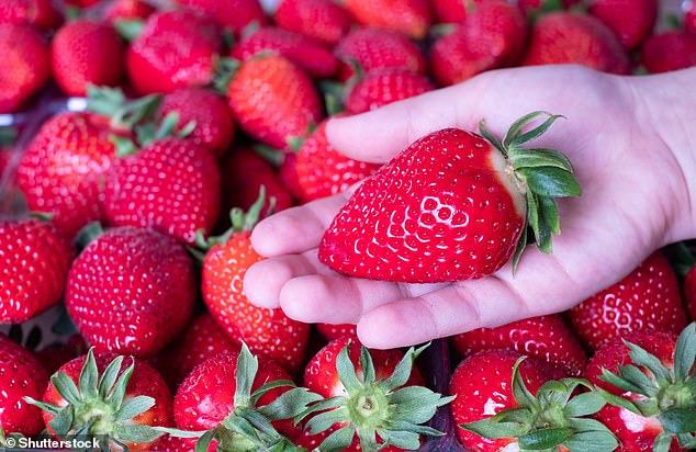 Jumbo Strawberries Hit UK Supermarkets After Warm, Dry Spring
