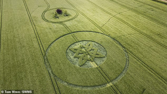 Unexplained Crop Circles Emerge in Renowned UFO Hotspot Sparking Alien Theories