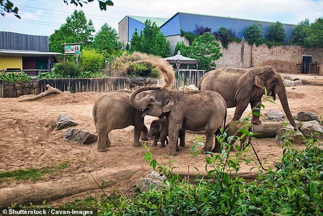 UK Zoo Reforms Mandate Expanded Elephant Enclosures, Prohibit Aquarium Contact, and Eliminate Bird Tethering