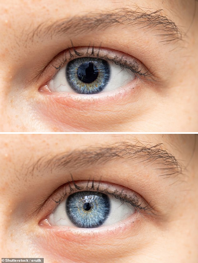 Eye Movements Reveal Memory Precision in New Scientific Study