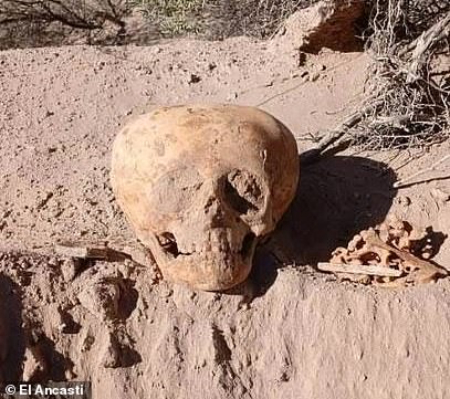 Ancient Skull Unearthed in Argentina Sparks Debate Over ‘Antmen’ Origins
