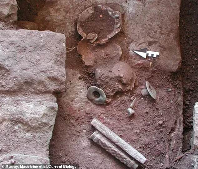 DNA Revelations Unravel Genetic Clues Behind Maya Civilization’s Collapse