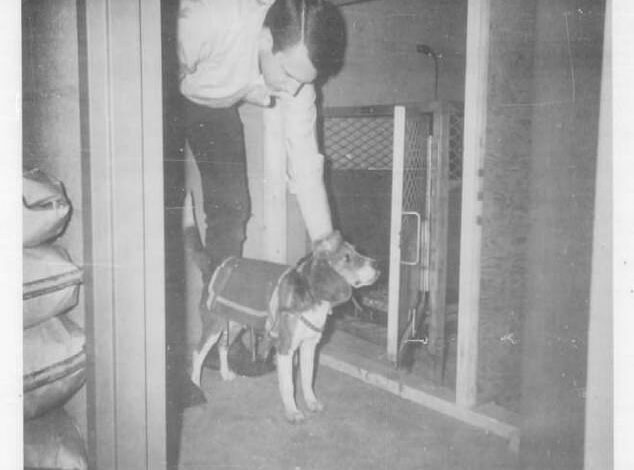 Inside CIA’s Covert Project 94: The Secret Team of Adorable Assassins