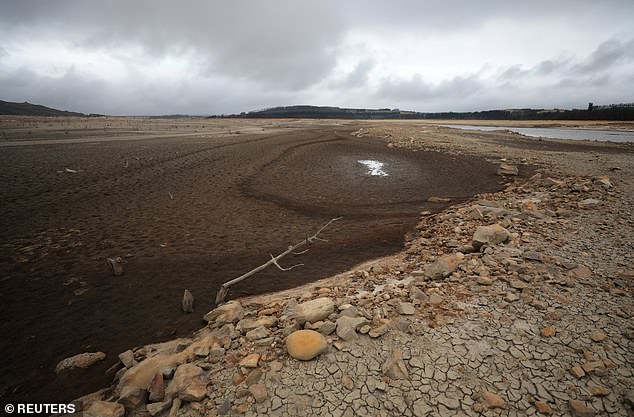 "Mysterious Geological Uplift Elevates South African Coastline, Baffling Scientists"