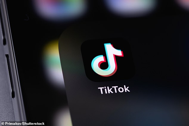 TikTok Nears Half of UK Population with 30 Million Users Milestone