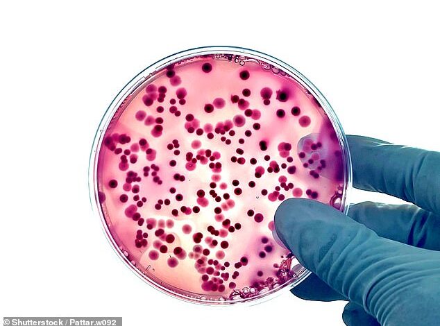 UK Alerts Public as Victorian-Era ‘Bleeding Disease’ Cases Surge to Record High