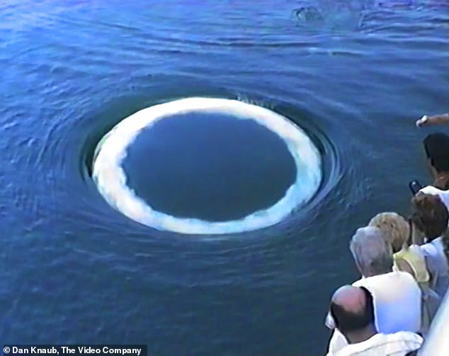 Cryptic Oceanic Signals Unveil Non-Human Intelligence Communication, Scientists Report