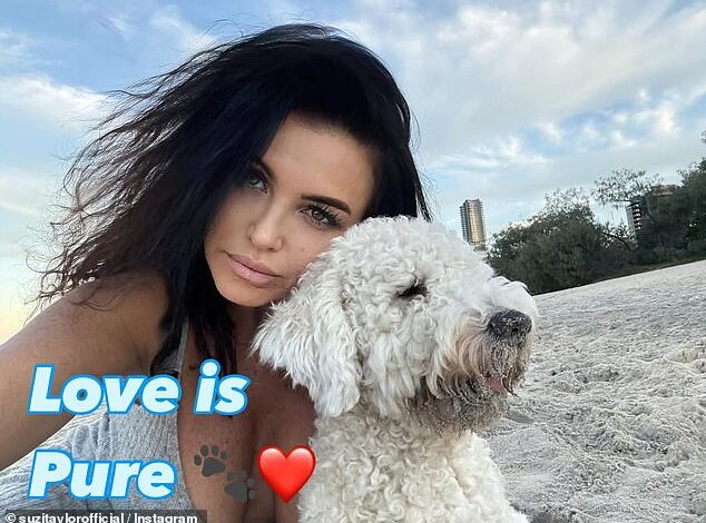Renovation Star-Turned-Prostitute Suzi Taylor Makes First Public Appearance Since Bail Release Amid Drug-Trafficking Charges