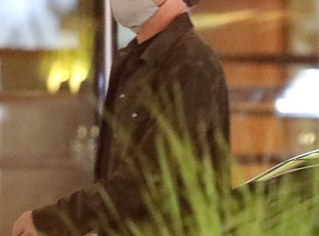 Leonardo DiCaprio, 50, Reunites With Bachelor Party Pals While Girlfriend Vittoria Ceretti, 27, Is Away