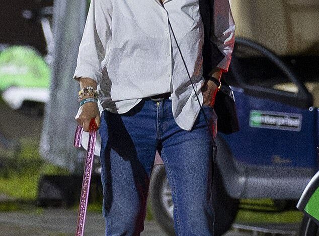 Title: Leslie Ash, 65, Uses Pink Walking Stick at Lido Festival’s Charli XCX Headline Show Following Health Update