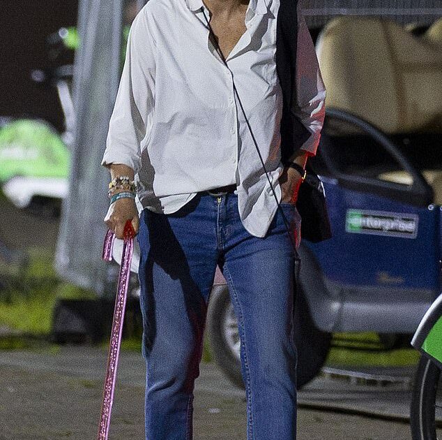 Title: Leslie Ash, 65, Uses Pink Walking Stick at Lido Festival’s Charli XCX Headline Show Following Health Update