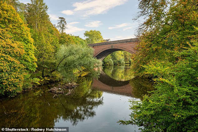 Toxic ‘Forever Chemicals’ Found in 98% of UK Rivers Pose Fertility Risk, Study Reveals