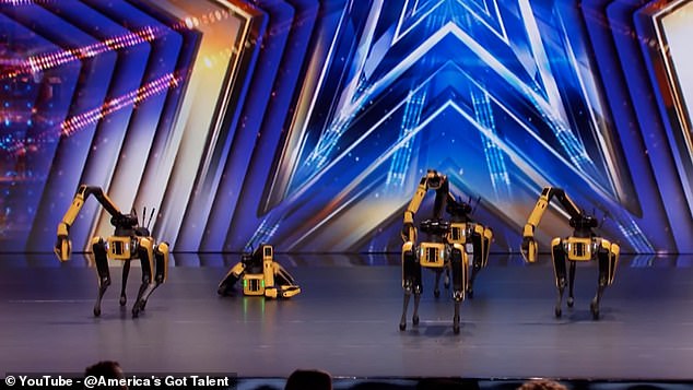 Robo-Dog’s Stage Fright: AGT Audition Goes Awry as Mechanical Canine Collapses Mid-Performance