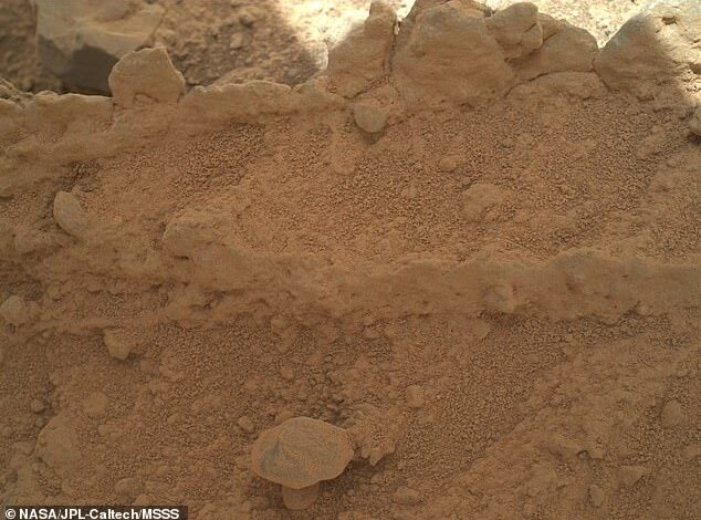 NASA’s Curiosity Rover Photo Reveals Mysterious Mushroom-Like Object Sparking Life on Mars Speculation