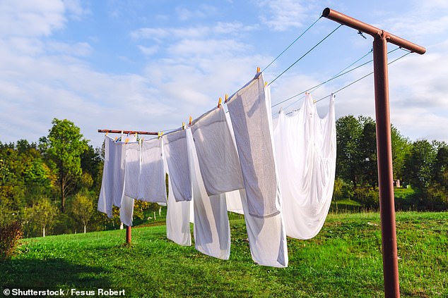 Heatwave Laundry Alert: Experts Warn Against Outdoor Drying to Protect Clothes
