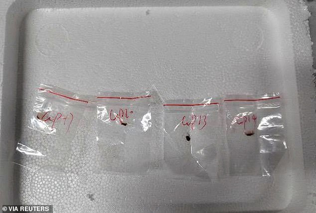 US Issues Urgent Alert Over Smuggled Hazardous Fungus Tied to Chinese Nationals