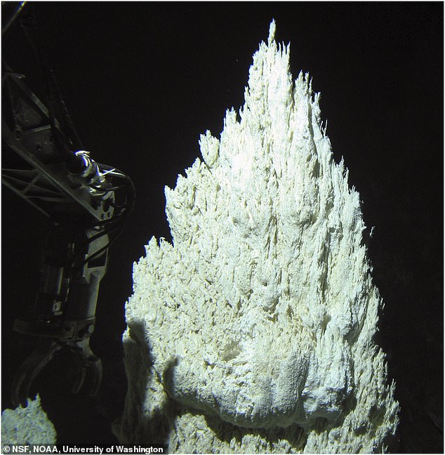 Ancient ‘Lost City’ in Atlantic Depths Reveals Clues to Life’s Origins