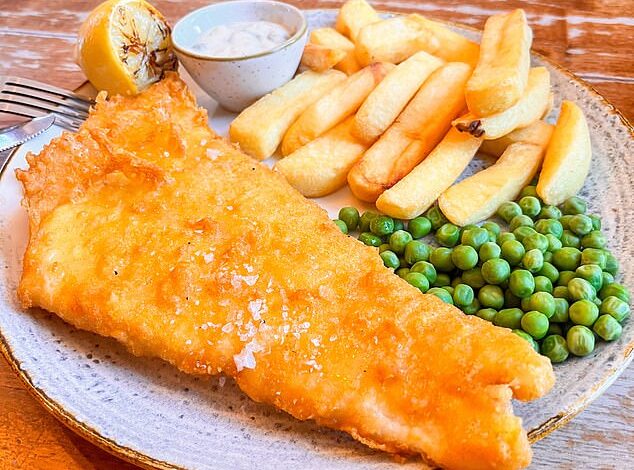 Study: Atlantic Cod Halved in Size Over 30 Years, Threatening Fisheries and Ecosystems