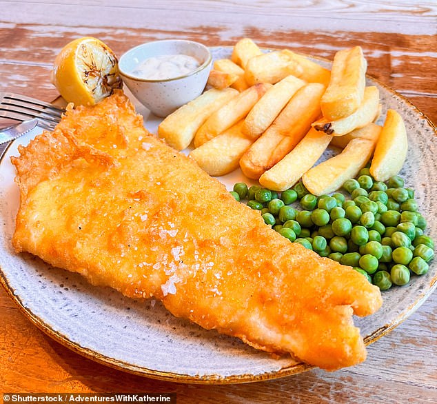 Study: Atlantic Cod Halved in Size Over 30 Years, Threatening Fisheries and Ecosystems