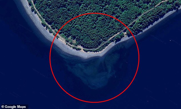 Mystery Skull Spotted on Canadian Island Coast Sparks Alien-Created Landmark Theory