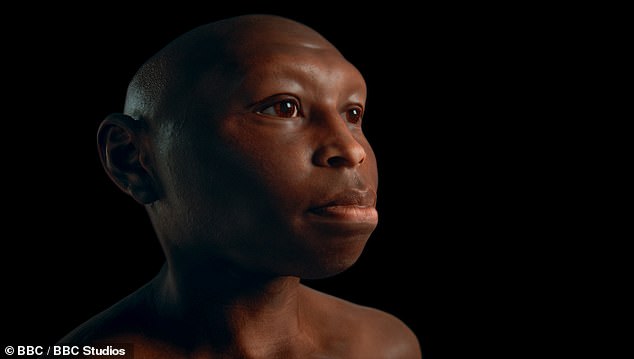 Scientific Facial Reconstructions Unveil Ancient Humans, Including the ‘Hobbit’ Species