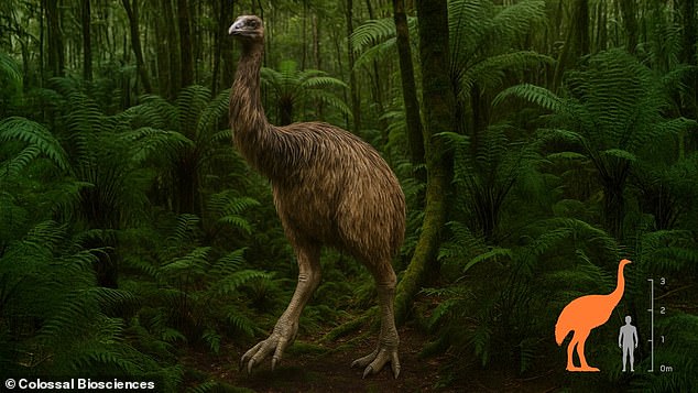 De-Extinction Company Targets Giant 3.6m-Tall, 230kg Moa After Woolly Mammoth Revival Efforts
