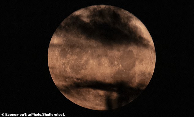 Witness Tomorrow’s Captivating ‘Moon Illusion’: Optimal Stargazing Tips and Viewing Times