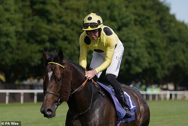 Robin Goodfellow’s Expert Picks for Friday’s Top Horse Races – July 18