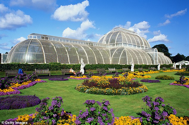 Kew’s Victorian Palm House Begins £50M Eco-Renovation, Closing Four Years for Net Zero Goals