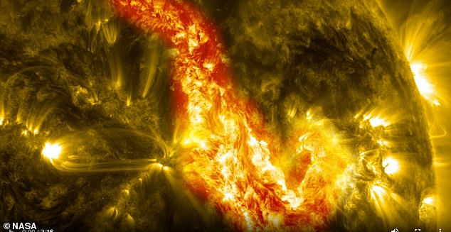 Sun’s 250,000-Mile ‘Canyon of Fire’ Eruption Sparks Solar Storm Fears