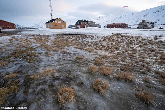 Arctic Greening Surges: Winter Photos Expose Climate-Driven Snowmelt and Blooming Vegetation