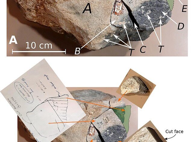 Scientists Solve 5,000-Year Mystery of Stonehenge’s Welsh Boulder Transport