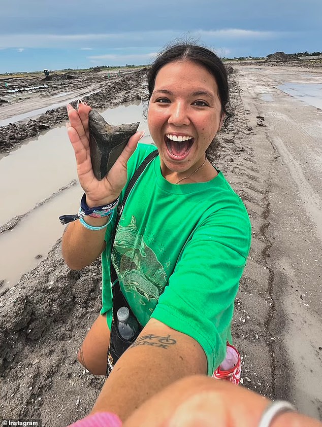 Woman Discovers Massive Prehistoric Megalodon Tooth on U.S. Beach