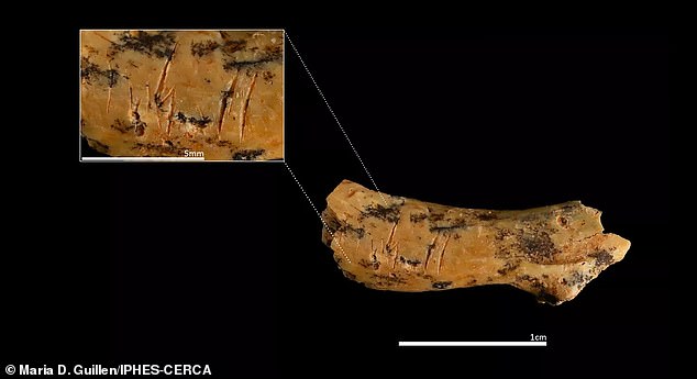 Ancient Human Species Practiced Child Cannibalism 850,000 Years Ago, Study Reveals
