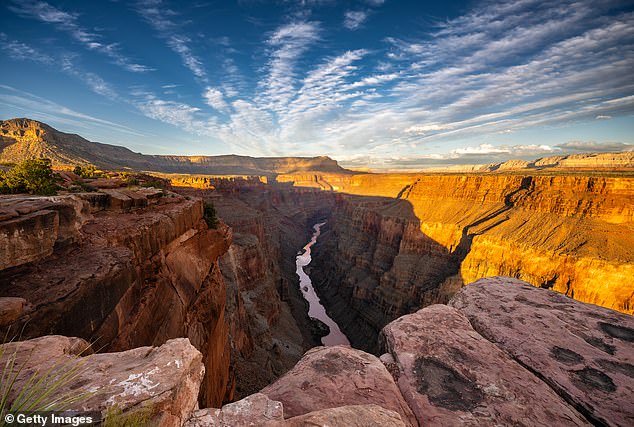 Grand Canyon Fossil Find Redefines Evolutionary Origins of Ancient Life