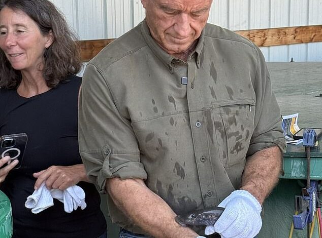 RFK Jr. Undergoes Parasitic Lamprey Bite in Health Official’s Controversial Demonstration