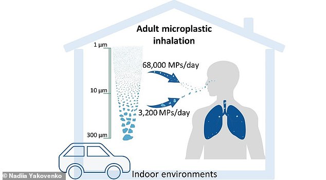 Study Finds Daily Microplastic Inhalation in Homes, Cars 100 Times Higher Than Past Estimates