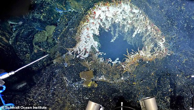 US West Coast Underwater Volcano Hit by 300 Quakes; Experts Warn Imminent Eruption