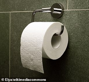 Scientists Settle Toilet Paper Over vs. Under Debate Using Evidence-Based Approach