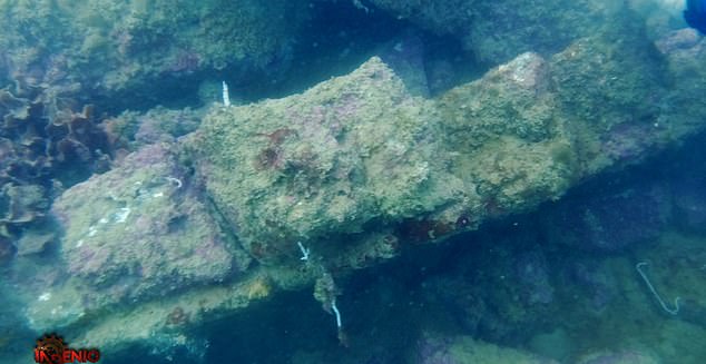 Archaeologist Claims Atlantis Discovered Near Major City Coast with Underwater Video Evidence