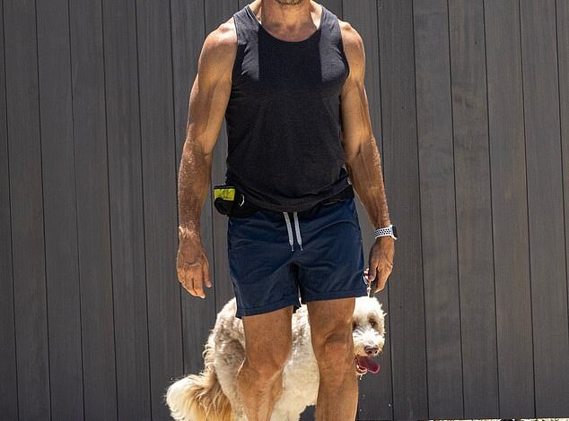 Title: Jonathan LaPaglia Appears Downcast During Family Outing in Los Angeles Following Australian Survivor Email Dismissal