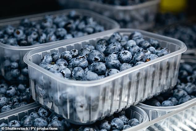 FDA Urges Immediate Blueberry Recall Over Highest Health Risk Designation